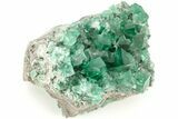 Fluorescent Green Fluorite w/ Galena - Diana Maria Mine, England #208883-1